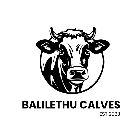 balilethu-calves