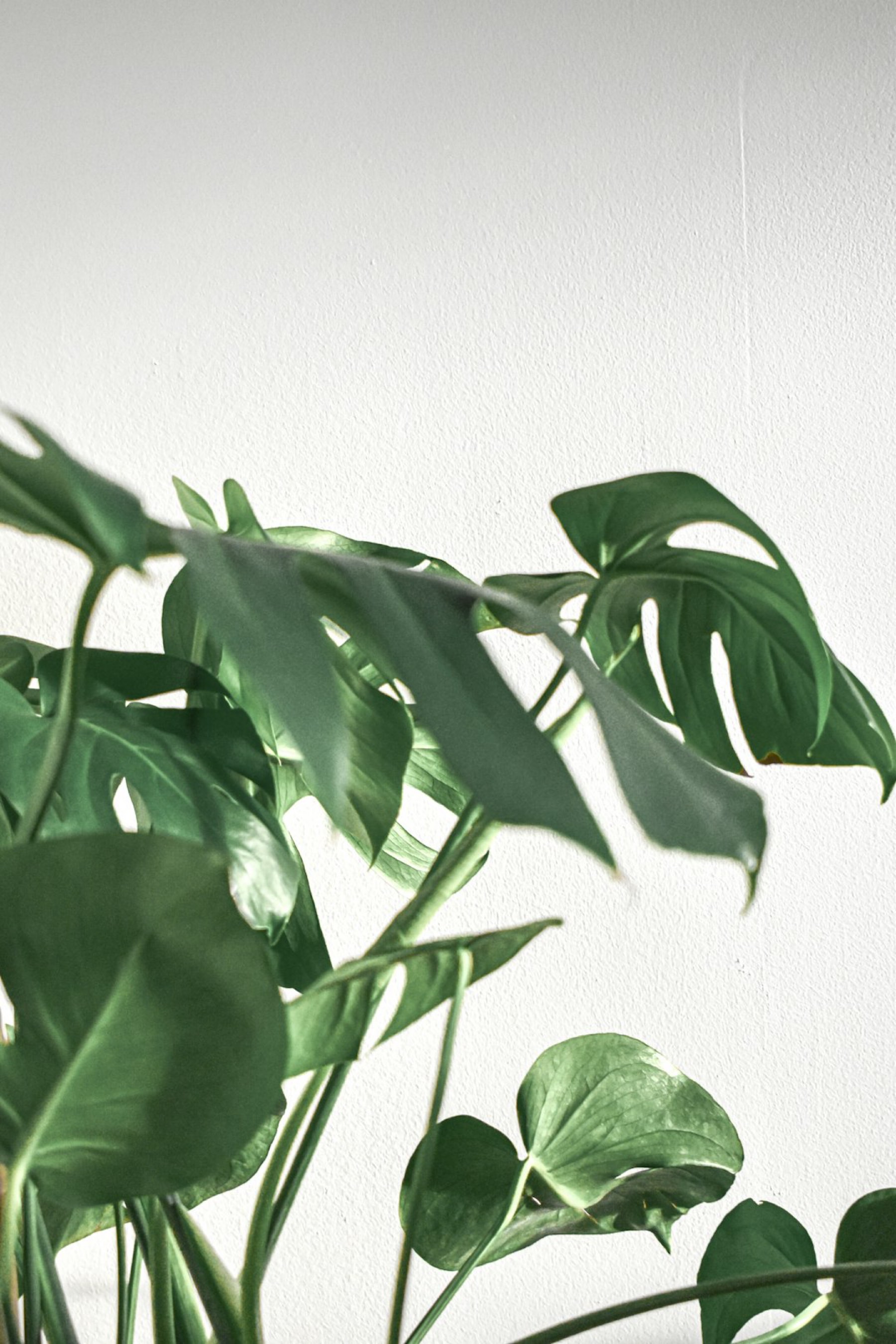 Interesting in a cleaning? Fill out this short form and we’ll be in touch!
